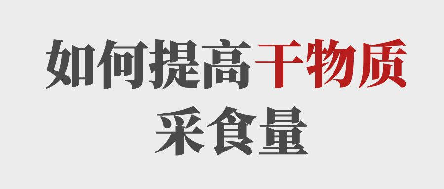 做到這5點(diǎn)提高育肥牛的干物質(zhì)采食量！